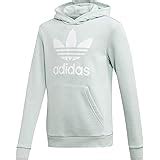 Amazon.com: Boys Trefoil Adidas Hoodie